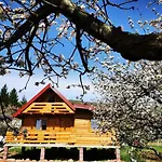 Wooden House 