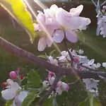 Vikendica Wooden House 