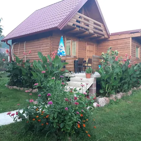 Wooden House 