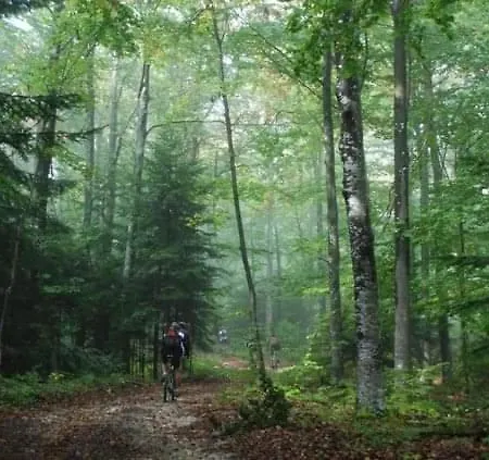 Nyaraló Wooden House 