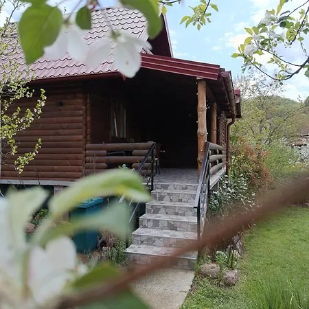 Wooden House 