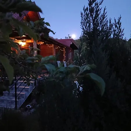 Wooden House 