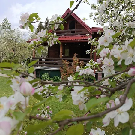 Tatil Evi Wooden House 