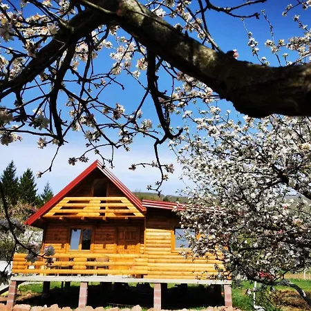 Wooden House 