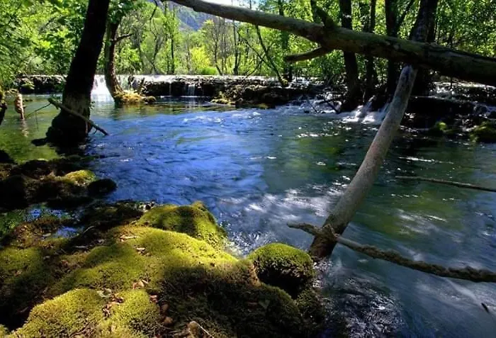 Prázdninový dům Wooden House 