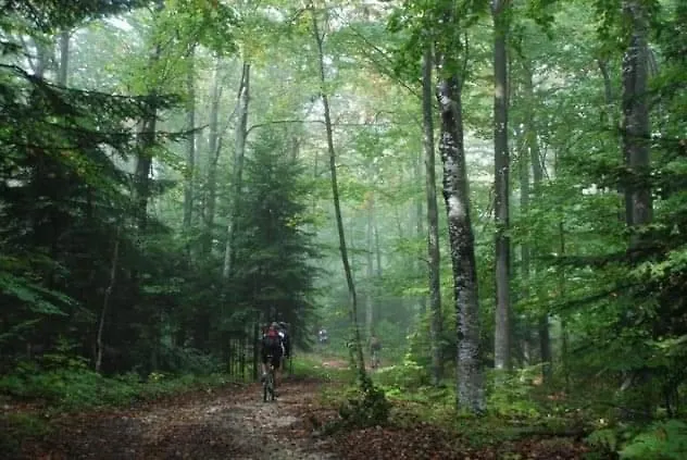 Prázdninový dům Wooden House 